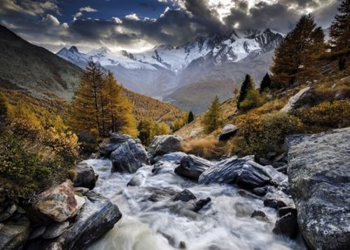 MOUNTAIN STREAM- VON HUMBOLDT