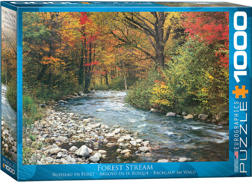 ARROYO EN EL BOSQUE