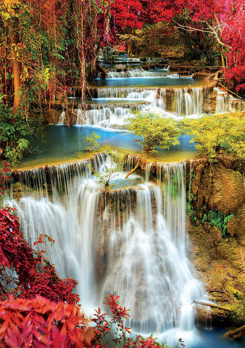 CATARATA EN EL BOSQUE