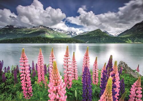 ALTRAMUCES A ORILLAS DEL LAGO SILS- SUIZA