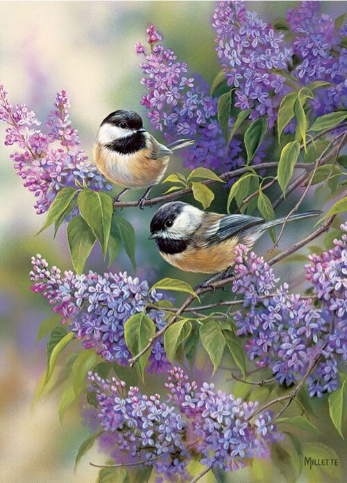 CHICKADEES AND LILACS