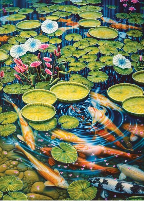 KOI POND