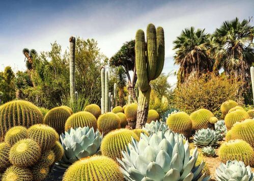 HUNTINGTON DESERT CALIFORNIA